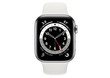 Apple Watch 6th generation Stainless Steel