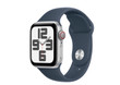 Apple Watch 8th generation Silver