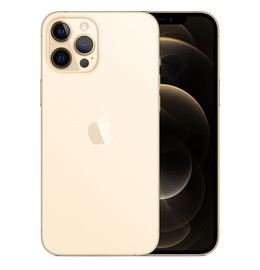 FAMILY|iphone12pro 6 inches Gold