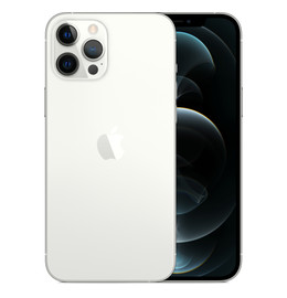 FAMILY|iphone12pro 6 pollici Argento