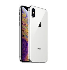 FAMILY|iphonexs 5 pollici Argento