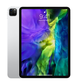 iPad Pro 4th generation Silver