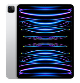 iPad Pro 6세대 실버